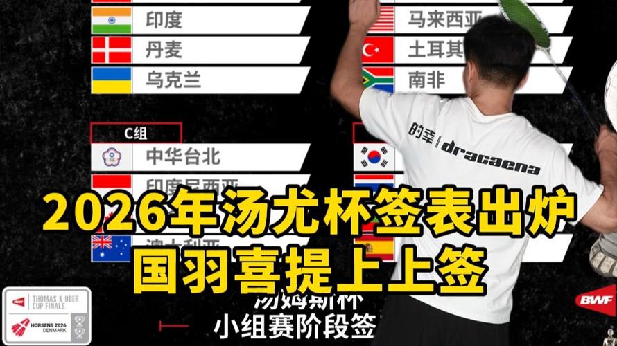 国羽5-0赢印度小组三连胜 以A组第一晋级尤杯八强